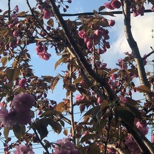 Meet your Posher, Aissatou